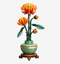 Collezione botanica