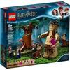 Sbabam Lego Harry Potter 75967 - La foresta Proibita