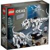 Mediatoy Lego Ideas Fossili di Dinosauro