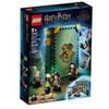 LEGO Harry potter wizarding world 76383 - lezione di pozioni a hogwarts 76383a