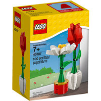Lego® Flower Display