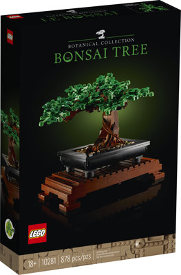 Albero Bonsai