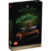 Albero Bonsai