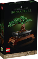 Albero Bonsai