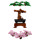 Albero Bonsai