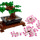 Albero Bonsai