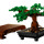 Albero Bonsai