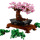 Albero Bonsai
