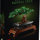Albero Bonsai