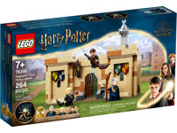 Hogwarts: Prima Lezione di Volo