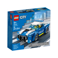 Auto della Polizia