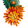 Crisantemo