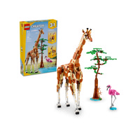 Animali Del Safari
