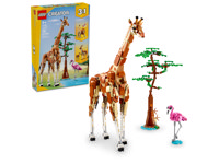 Animali Del Safari