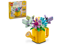 Innaffiatoio Con Fiori