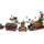 Bowser Express