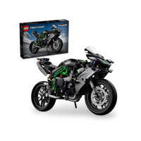 Motocicletta Kawasaki Ninja H2r