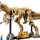 Fossili Di Dinosauro: Tirannosauro