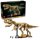 Fossili Di Dinosauro: Tirannosauro
