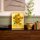 Vincent Van Gogh – Girasoli