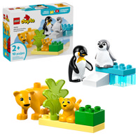 Famiglie Di Animali: Pinguini E Leoni