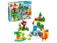 Famiglie Di Animali 3 In 1