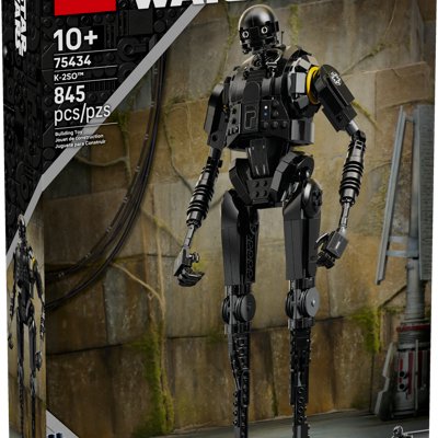 Droide Di Sicurezza K-2So™