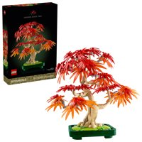 Bonsai Di Acero Rosso Giapponese