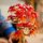 Bonsai Di Acero Rosso Giapponese