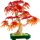 Bonsai Di Acero Rosso Giapponese