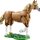 Cavallo Meraviglioso
