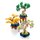Mini Bonsai