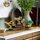Mini Bonsai