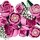 Bouquet Di Rose Rosa
