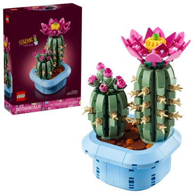 Cactus In Fiore