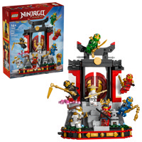 Display Personaggi Ninja – 15° Anniversario