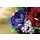 Composizione Di Fiori Scuri