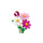 Fiori Di Cosmos