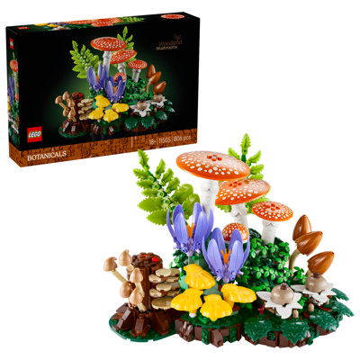 Funghi Del Bosco