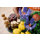 Funghi Del Bosco