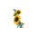 Bouquet Di Girasoli