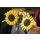 Bouquet Di Girasoli