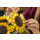 Bouquet Di Girasoli