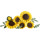 Bouquet Di Girasoli