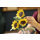 Bouquet Di Girasoli