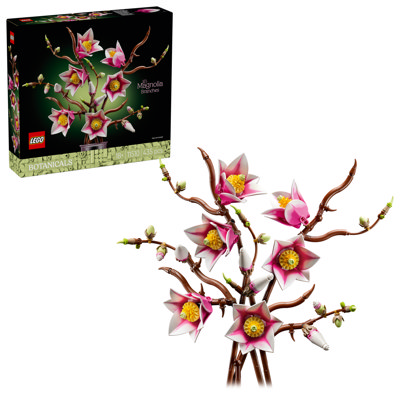 Rametti Di Magnolia