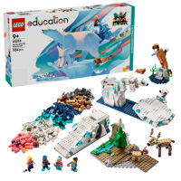 Kit Di Scienze: Animali Dell’Artico