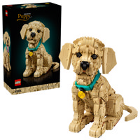 Cucciolo Di Golden Retriever
