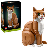 Gatto Soriano