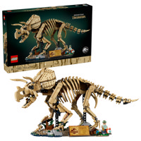 Fossili Di Dinosauro: Triceratopo